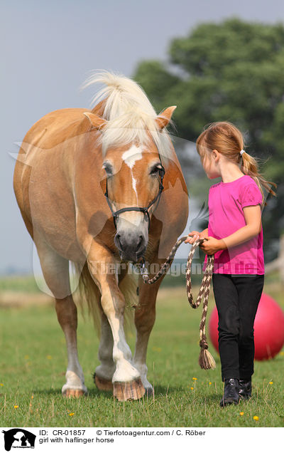 Mdchen mit Haflinger / girl with haflinger horse / CR-01857