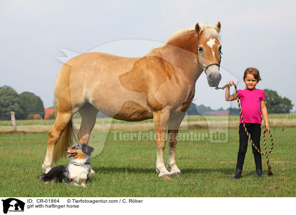 Mdchen mit Haflinger / girl with haflinger horse / CR-01864