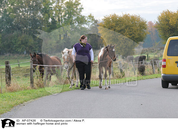 Frau mit Haflinger und Pinto / woman with haflinger horse and pinto / AP-07426