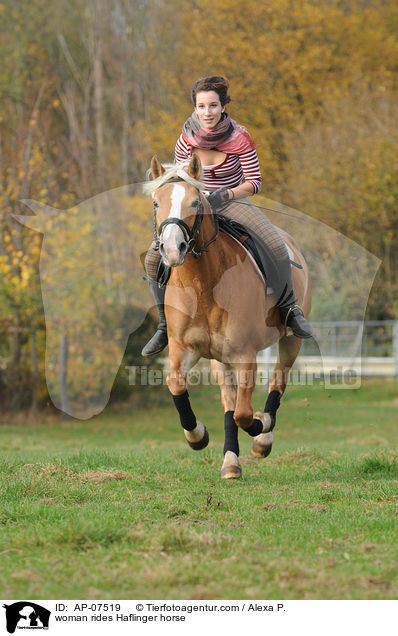 Frau reitet Haflinger / woman rides Haflinger horse / AP-07519