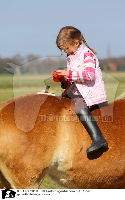 girl with Haflinger horse / CR-02019