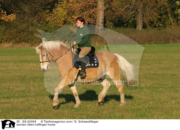 Frau reitet Haflinger / woman rides haflinger horse / SS-22464