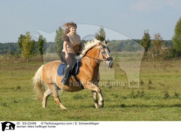 Frau reitet Haflinger / woman rides haflinger horse / SS-22486