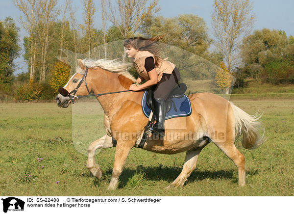 Frau reitet Haflinger / woman rides haflinger horse / SS-22488