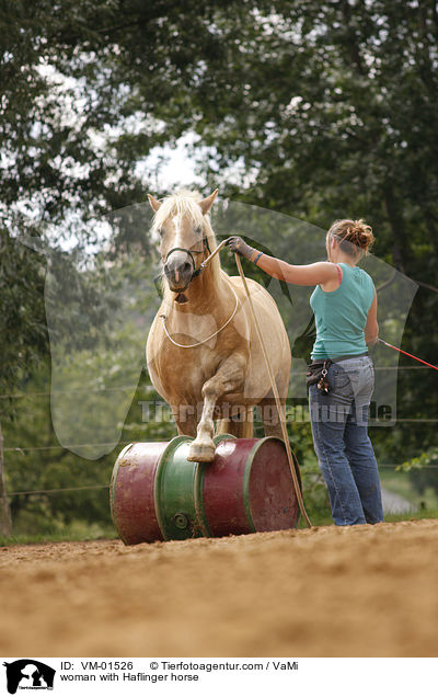 Frau mit Haflinger / woman with Haflinger horse / VM-01526