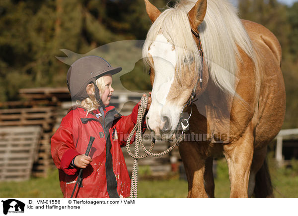 kid and Haflinger horse / VM-01556