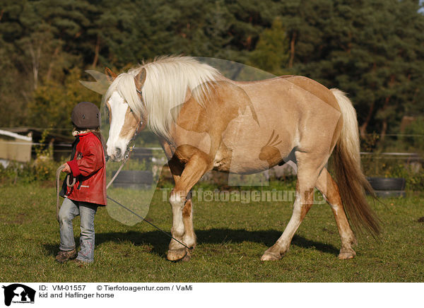 Kind und Haflinger / kid and Haflinger horse / VM-01557