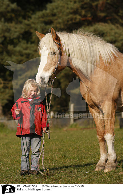 kid and Haflinger horse / VM-01559