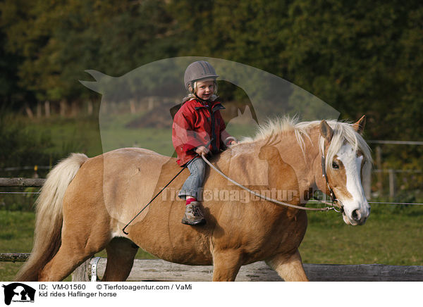 Kind reitet Haflinger / kid rides Haflinger horse / VM-01560