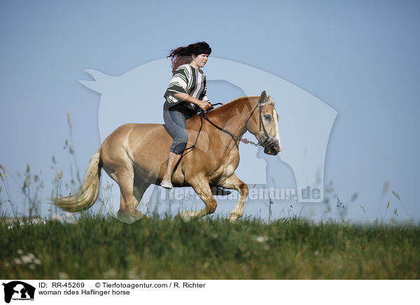 Frau reitet Haflinger / woman rides Haflinger horse / RR-45269