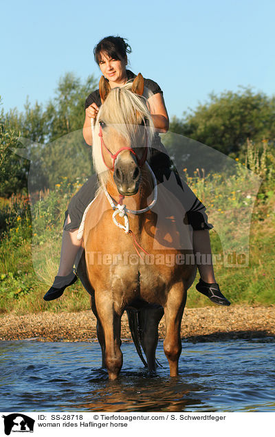 Frau reitet Haflinger / woman rides Haflinger horse / SS-28718