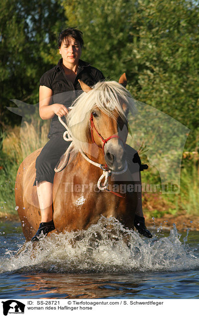 Frau reitet Haflinger / woman rides Haflinger horse / SS-28721