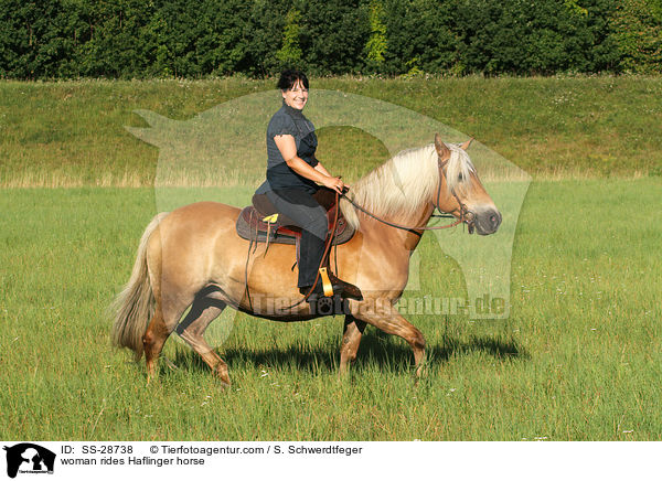 Frau reitet Haflinger / woman rides Haflinger horse / SS-28738