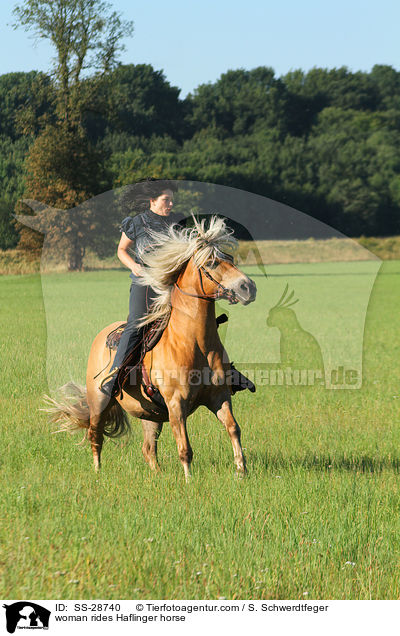 Frau reitet Haflinger / woman rides Haflinger horse / SS-28740
