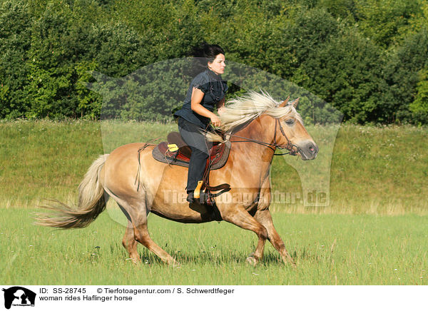 Frau reitet Haflinger / woman rides Haflinger horse / SS-28745