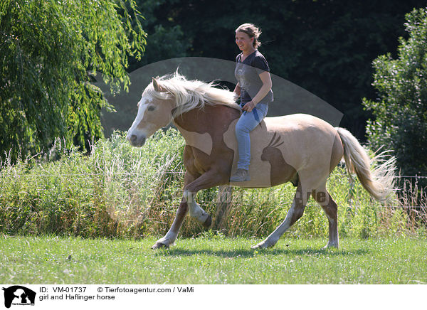 Mdchen und Haflinger / girl and Haflinger horse / VM-01737