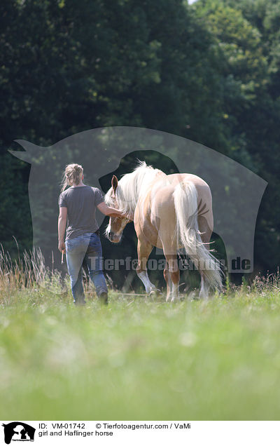 girl and Haflinger horse / VM-01742