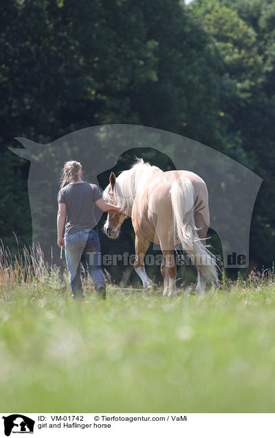 Mdchen und Haflinger / girl and Haflinger horse / VM-01742