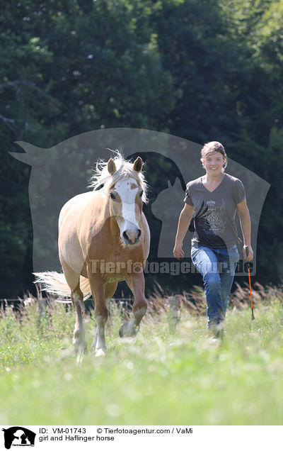 Mdchen und Haflinger / girl and Haflinger horse / VM-01743