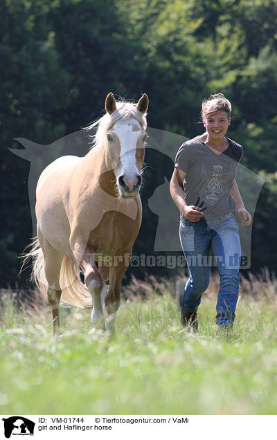 Mdchen und Haflinger / girl and Haflinger horse / VM-01744