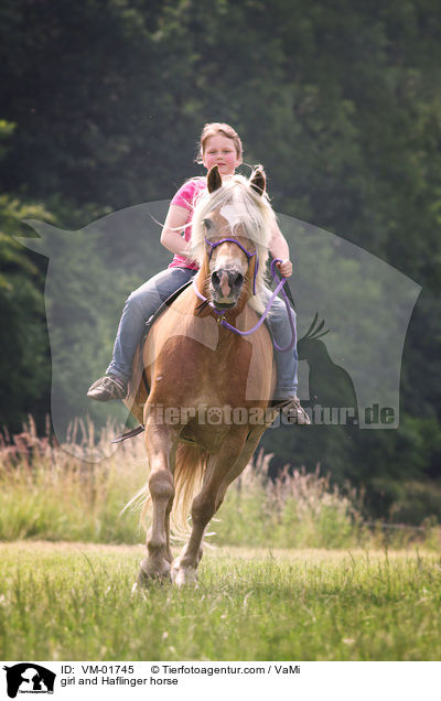 girl and Haflinger horse / VM-01745
