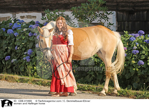 Frau und Haflinger / woman and Haflinger horse / CDE-01899