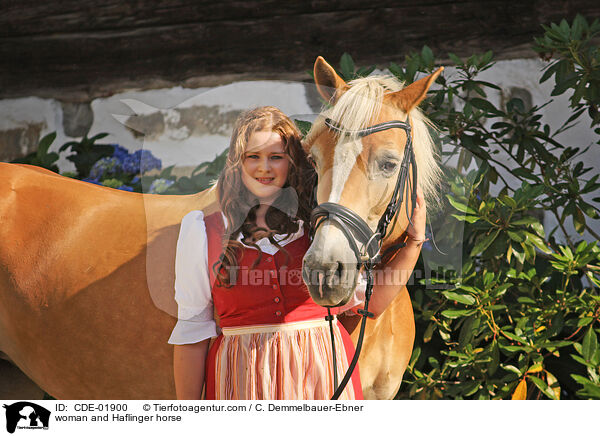 Frau und Haflinger / woman and Haflinger horse / CDE-01900