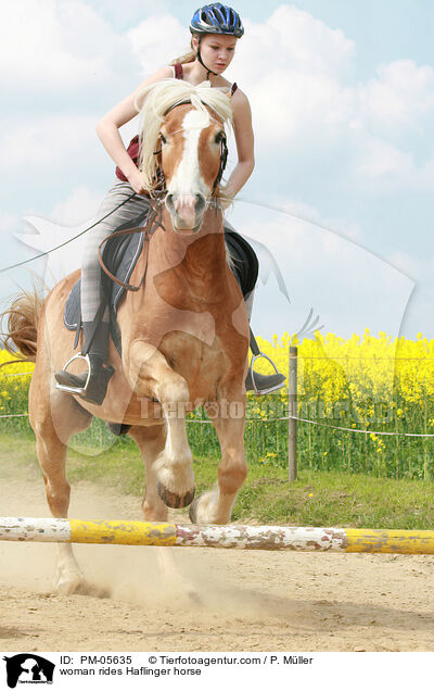 Frau reitet Haflinger / woman rides Haflinger horse / PM-05635