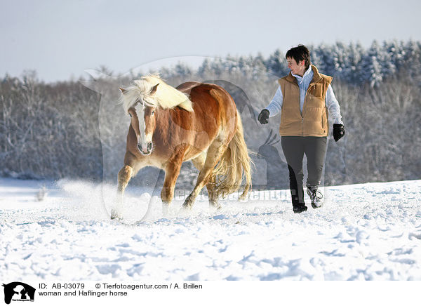 Frau und Haflinger / woman and Haflinger horse / AB-03079