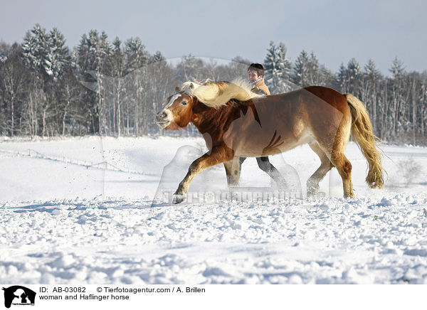 Frau und Haflinger / woman and Haflinger horse / AB-03082