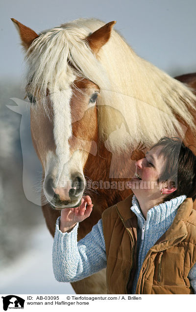 Frau und Haflinger / woman and Haflinger horse / AB-03095