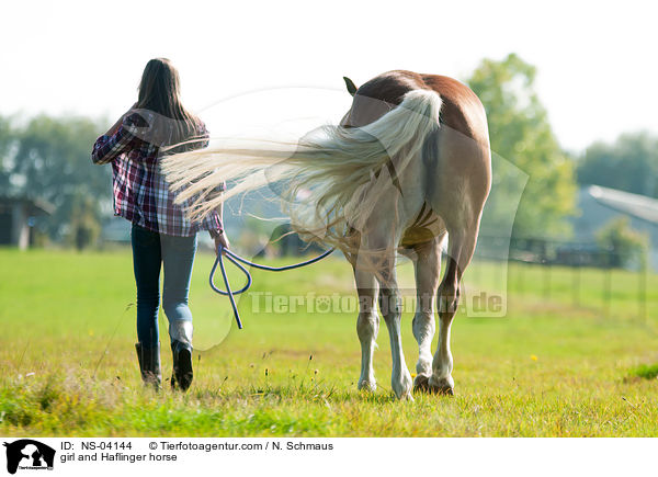 Mdchen und Haflinger / girl and Haflinger horse / NS-04144
