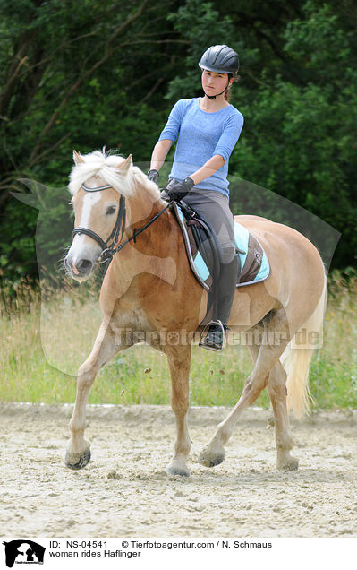 Frau reitet Haflinger / woman rides Haflinger / NS-04541