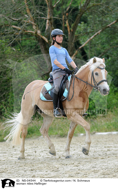 Frau reitet Haflinger / woman rides Haflinger / NS-04544