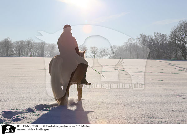 woman rides Haflinger / PM-06350