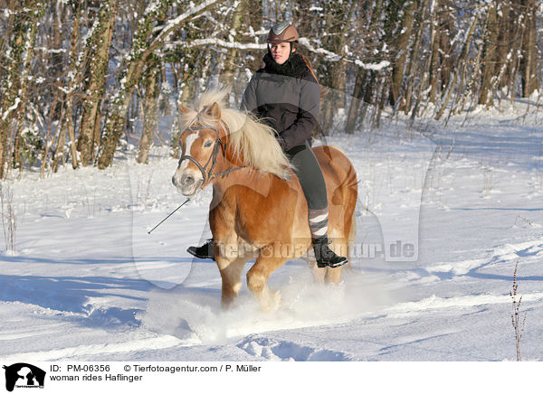 Frau reitet Haflinger / woman rides Haflinger / PM-06356