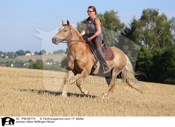 Frau reitet Haflinger / woman rides Haflinger Horse / PM-06774