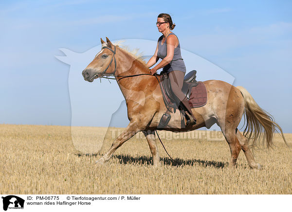 Frau reitet Haflinger / woman rides Haflinger Horse / PM-06775