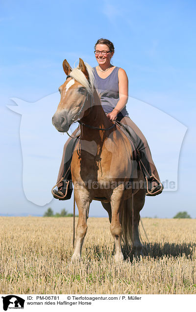 Frau reitet Haflinger / woman rides Haflinger Horse / PM-06781