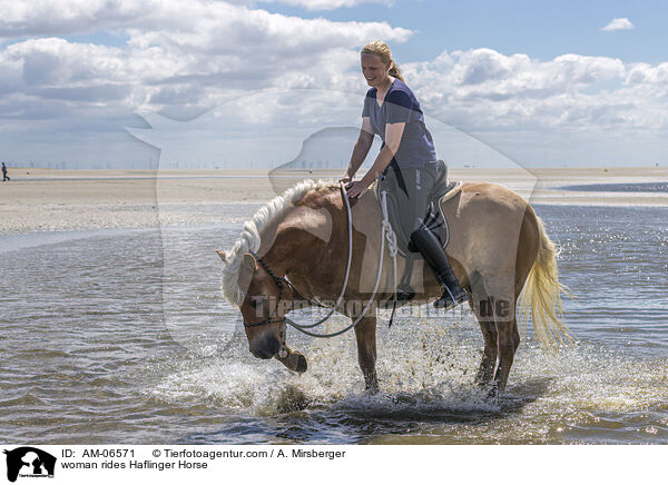 Frau reitet Haflinger / woman rides Haflinger Horse / AM-06571