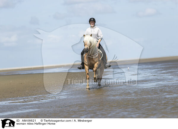 Frau reitet Haflinger / woman rides Haflinger Horse / AM-06621