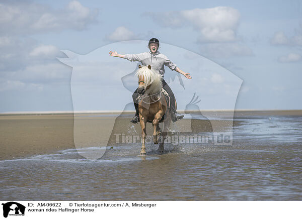 Frau reitet Haflinger / woman rides Haflinger Horse / AM-06622