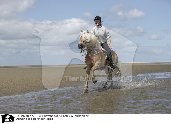 Frau reitet Haflinger / woman rides Haflinger Horse / AM-06623