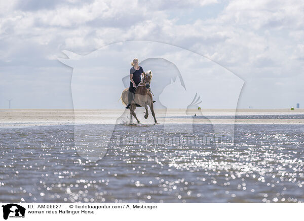 woman rides Haflinger Horse / AM-06627