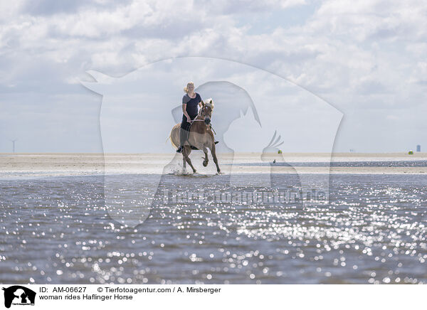 Frau reitet Haflinger / woman rides Haflinger Horse / AM-06627