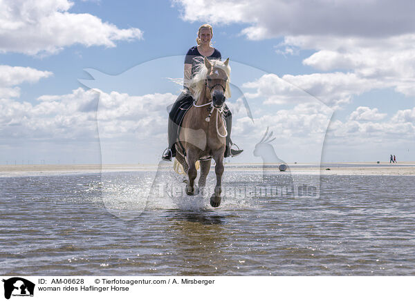 Frau reitet Haflinger / woman rides Haflinger Horse / AM-06628