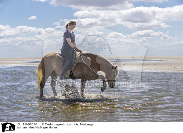 Frau reitet Haflinger / woman rides Haflinger Horse / AM-06630