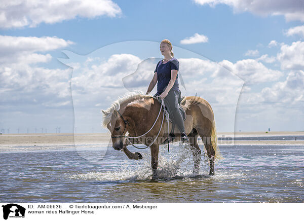 Frau reitet Haflinger / woman rides Haflinger Horse / AM-06636