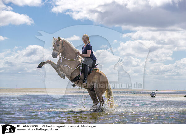 Frau reitet Haflinger / woman rides Haflinger Horse / AM-06638