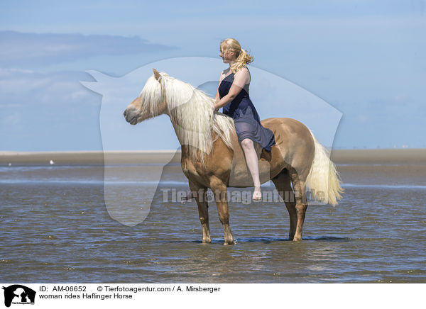 Frau reitet Haflinger / woman rides Haflinger Horse / AM-06652